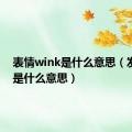 表情wink是什么意思（发wink是什么意思）