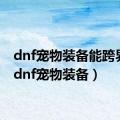 dnf宠物装备能跨界吗（dnf宠物装备）