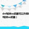 dnf哈林ss武器可以升级吗（dnf哈林ss武器）