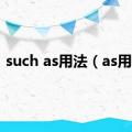 such as用法（as用法）