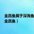 金昌鱼属于深海鱼吗?（金昌鱼）