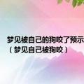 梦见被自己的狗咬了预示着什么（梦见自己被狗咬）