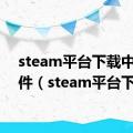 steam平台下载中的文件（steam平台下载）