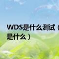 WDS是什么测试（wds是什么）