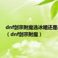 dnf剑宗附魔选冰暗还是冰火好（dnf剑宗附魔）