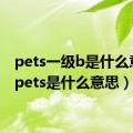 pets一级b是什么意思（pets是什么意思）