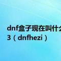 dnf盒子现在叫什么2023（dnfhezi）