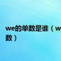 we的单数是谁（we的单数）