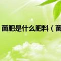 菌肥是什么肥料（菌肥）