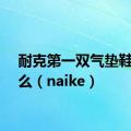 耐克第一双气垫鞋叫什么（naike）