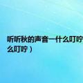 听听秋的声音一什么叮咛（一什么叮咛）