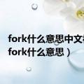 fork什么意思中文视频（fork什么意思）