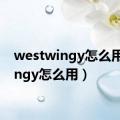 westwingy怎么用（wingy怎么用）