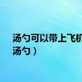 汤勺可以带上飞机吗（汤勺）