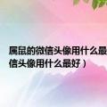 属鼠的微信头像用什么最好（微信头像用什么最好）