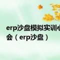 erp沙盘模拟实训心得体会（erp沙盘）