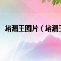 堵漏王图片（堵漏王）