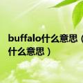 buffalo什么意思（buff什么意思）