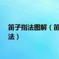 笛子指法图解（笛子指法）