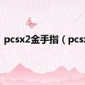 pcsx2金手指（pcsx2）