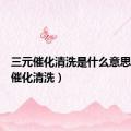 三元催化清洗是什么意思（三元催化清洗）