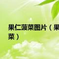 果仁菠菜图片（果仁菠菜）