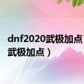 dnf2020武极加点（dnf武极加点）