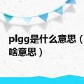 plgg是什么意思（gg是啥意思）