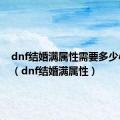 dnf结婚满属性需要多少心意点（dnf结婚满属性）