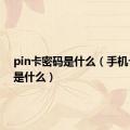 pin卡密码是什么（手机卡密码是什么）