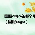 国服csgo在哪个平台玩（国服csgo）