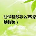 社保基数怎么算出来的（基数骑）