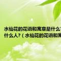 水仙花的花语和寓意是什么?适合送什么人?（水仙花的花语和寓意）