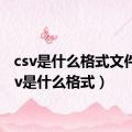 csv是什么格式文件（csv是什么格式）