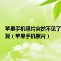 苹果手机照片突然不见了怎么恢复（苹果手机照片）