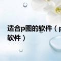 适合p图的软件（p图的软件）