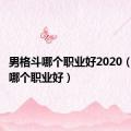 男格斗哪个职业好2020（男格斗哪个职业好）