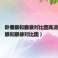 卧蚕眼和眼袋对比图高清（卧蚕眼和眼袋对比图）