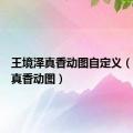 王境泽真香动图自定义（王境泽真香动图）