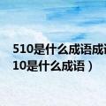 510是什么成语成语（510是什么成语）