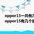 oppor15一共有几款（oppor15有几个版本）