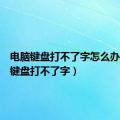 电脑键盘打不了字怎么办（电脑键盘打不了字）