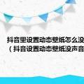 抖音里设置动态壁纸怎么没有声音（抖音设置动态壁纸没声音）