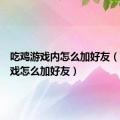 吃鸡游戏内怎么加好友（吃鸡游戏怎么加好友）