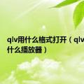 qlv用什么格式打开（qlv文件用什么播放器）