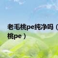 老毛桃pe纯净吗（老毛桃pe）