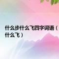 什么步什么飞四字词语（什么步什么飞）