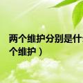 两个维护分别是什么（2个维护）