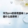 华为pro的意思是啥（pro华为是什么意思啊）