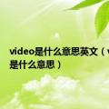 video是什么意思英文（videos是什么意思）